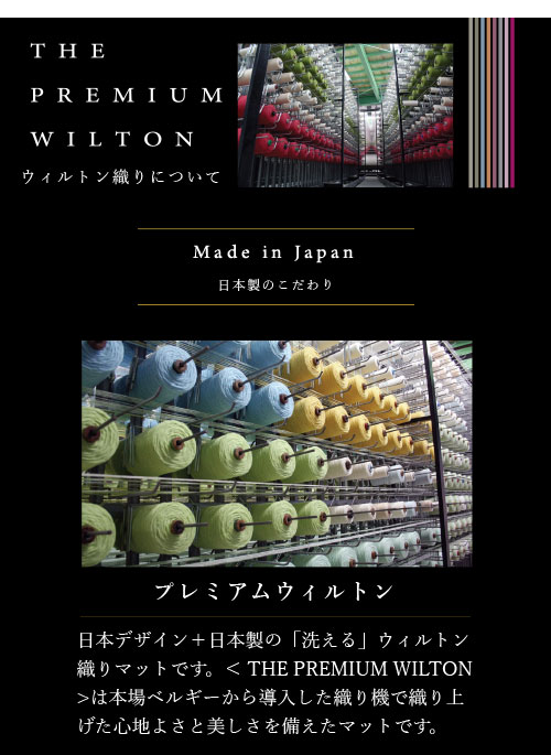 ウィルトンについて1