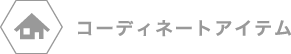 コーディネイトアイテム