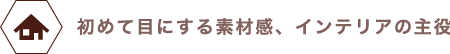 初めて目にする素材感、インテリアの主役