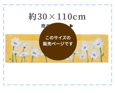 30×110cm