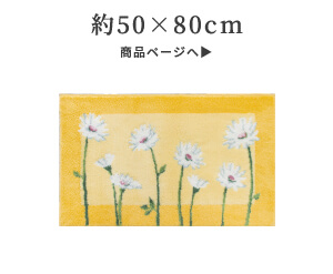 50×80cm