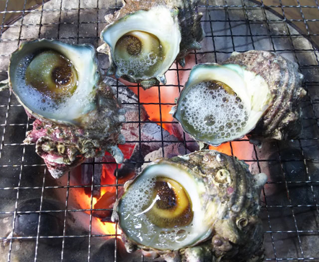 バーベキュー 海鮮 6人前セット 生食用OK ホタテ貝 ホッキ貝 サザエ 北海道産まるせん 冷蔵 :bbq1:山形県の海鮮問屋 まるせん - 通販 -  Yahoo!ショッピング