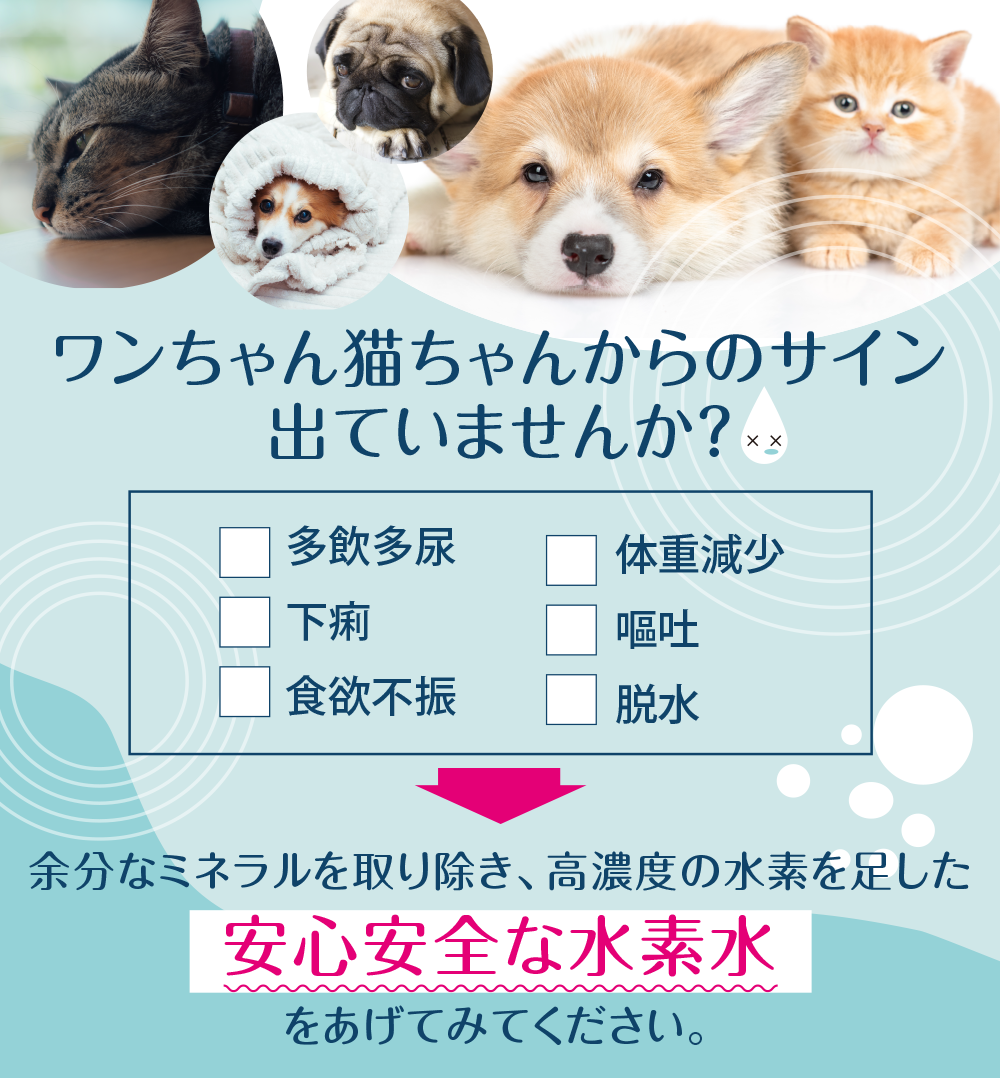 困り事ありませんか