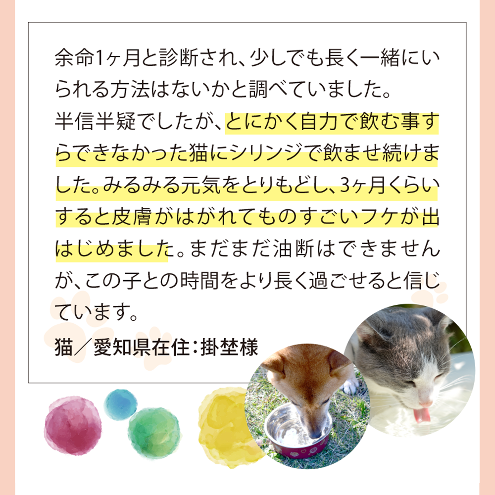 お客様の声5