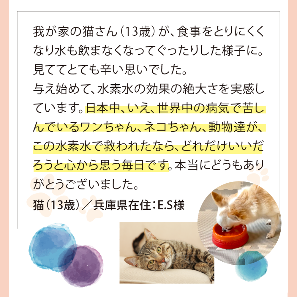 お客様の声6