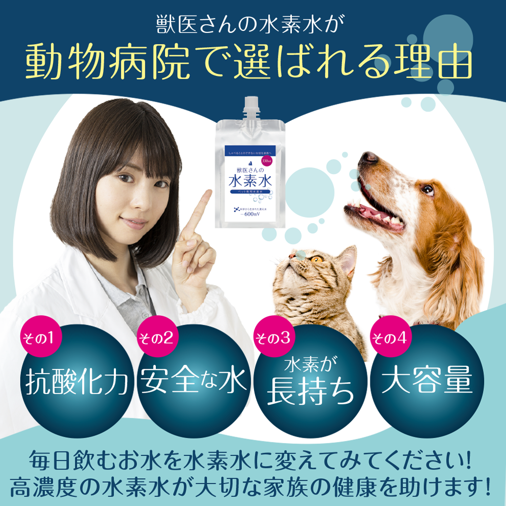 動物病院で選ばれる理由