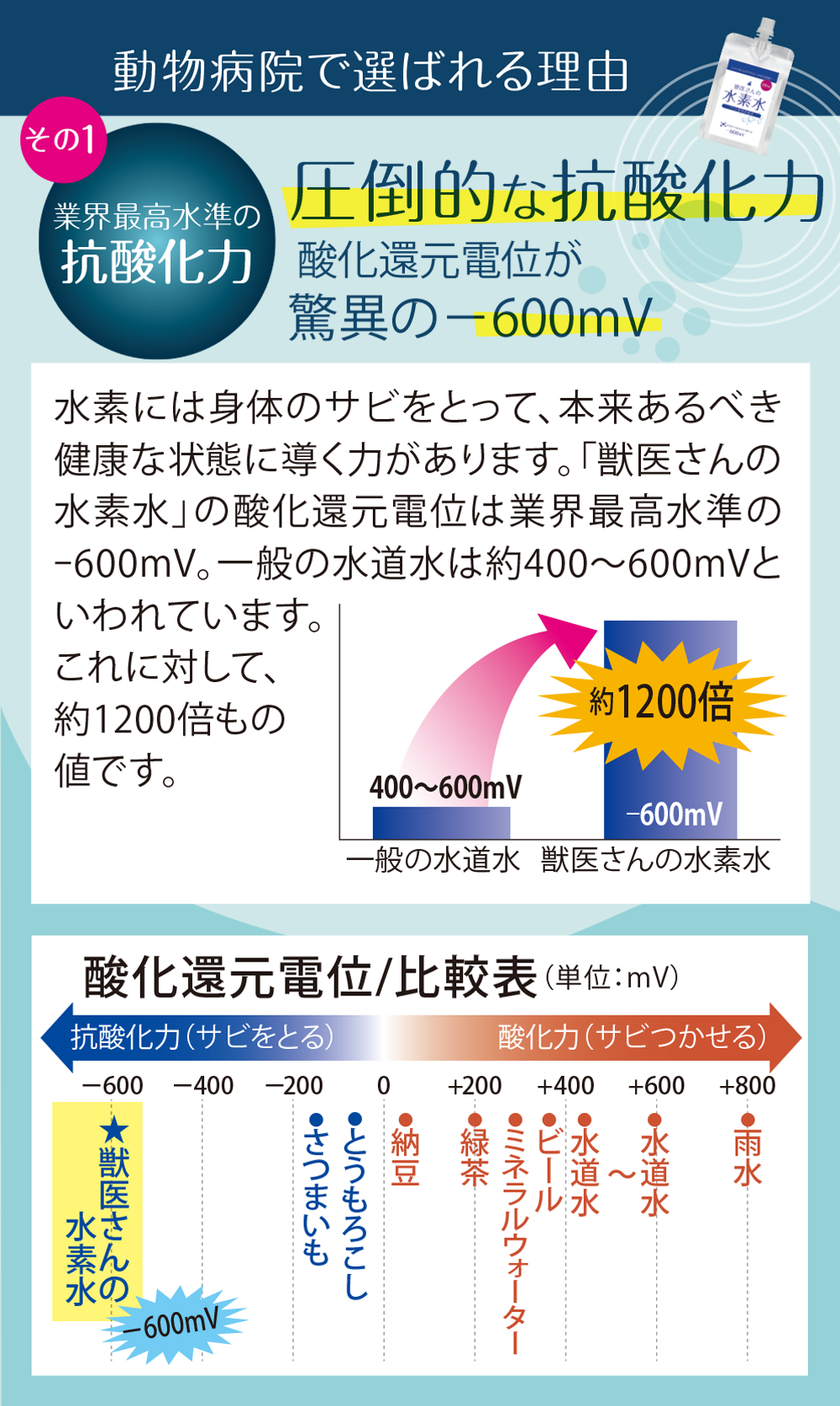 抗酸化力のエビデンス
