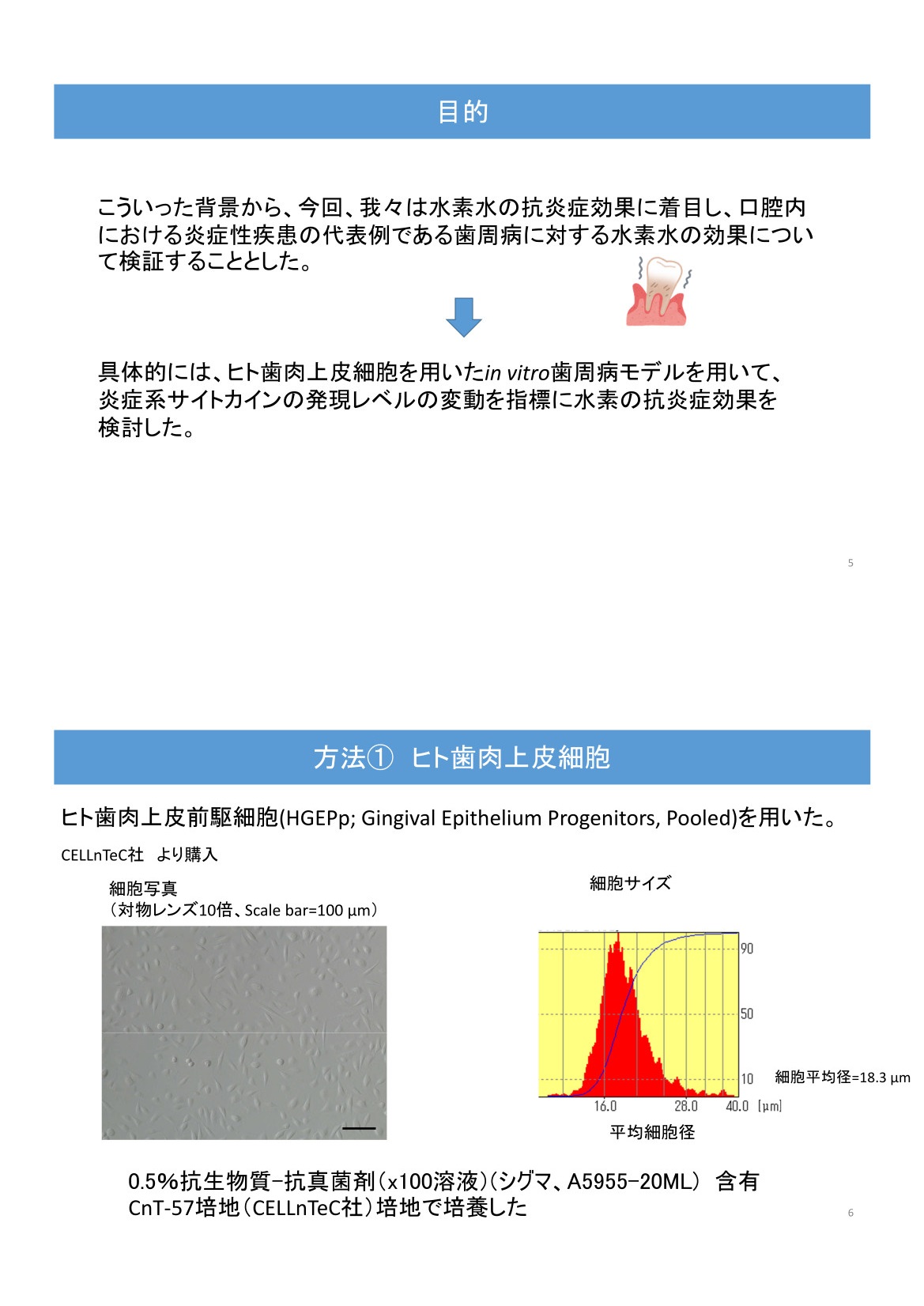 目的