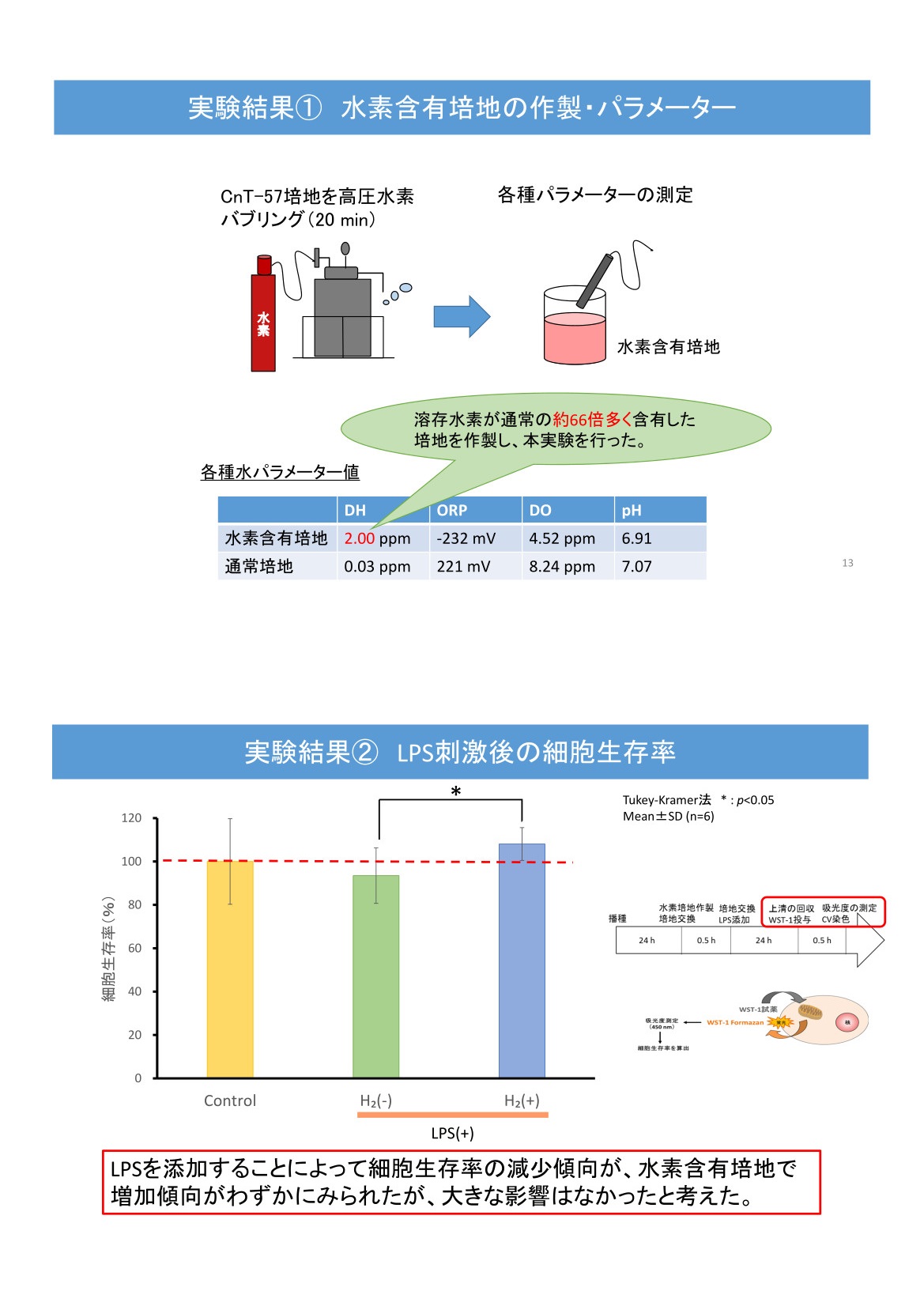 細胞の形態と効果の実験結果