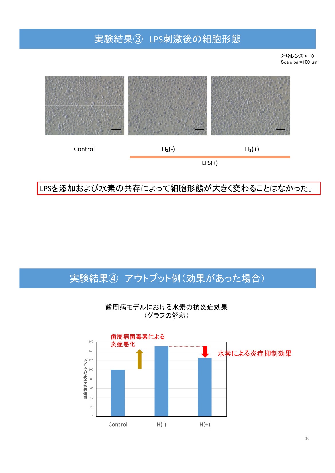 歯周病モデルに対する水素の影響1