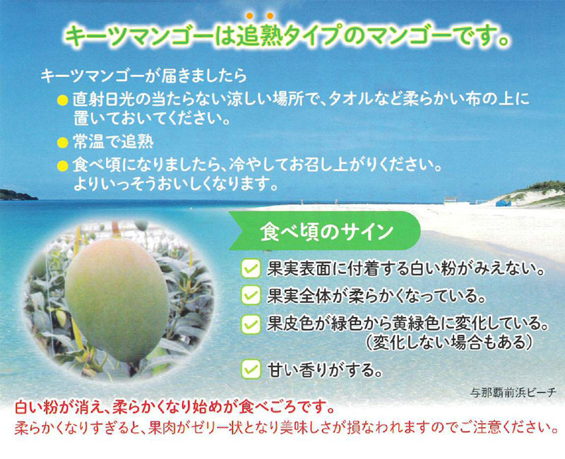 宮古島産キーツマンゴー 2玉（約1.5kg） : 沖縄そばと沖縄食材