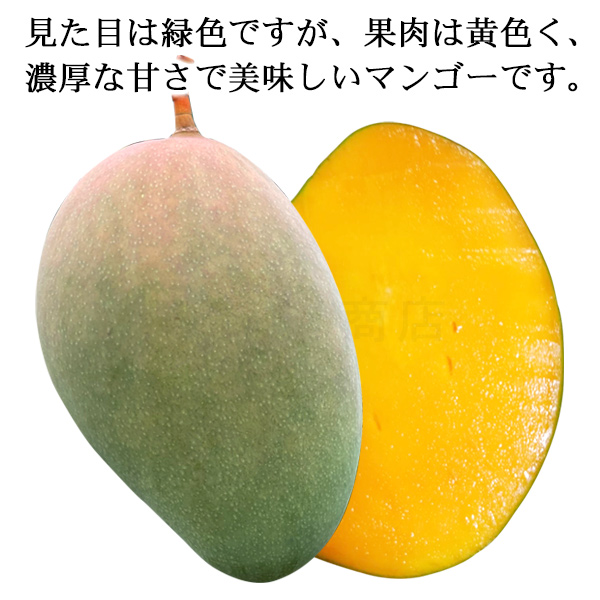 宮古島産キーツマンゴー 2玉（約1.5kg〜2kg） : j-kiitu-mango2p : 沖縄そばと沖縄食材 みつくら商店 - 通販 -  Yahoo!ショッピング