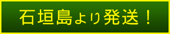 石垣島より発送