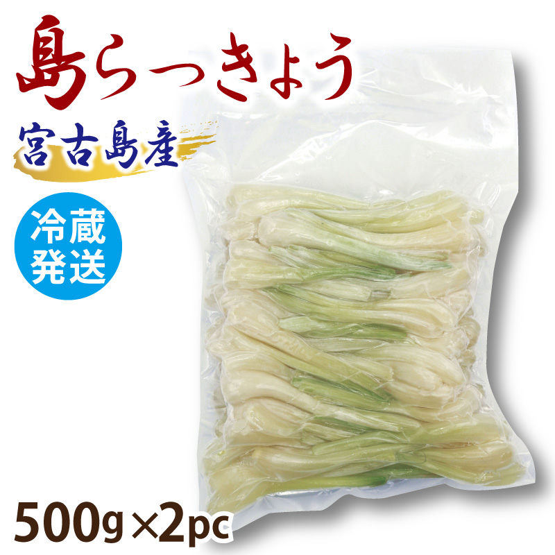 宮古島産 島らっきょう 生 真空パック 500g×2pc /沖縄 島ラッキョウ
