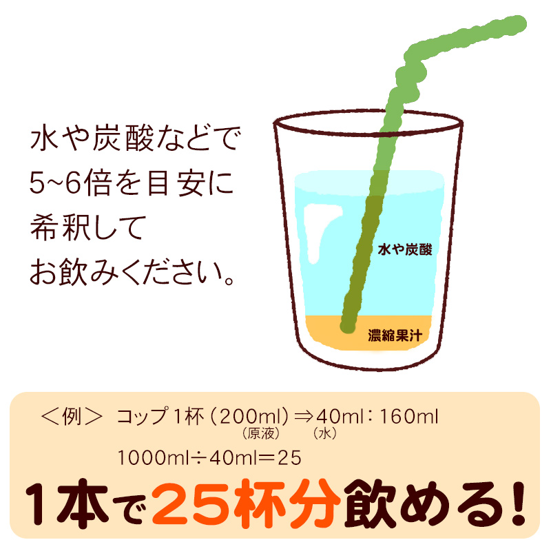 南島果汁 シークワーサー 1000ml×6本　/濃縮ジュース 希釈タイプ シークワーサージュース｜maasanichi｜04