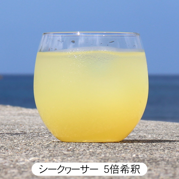 南島果汁 シークワーサー 1000ml×6本　/濃縮ジュース 希釈タイプ シークワーサージュース｜maasanichi｜02