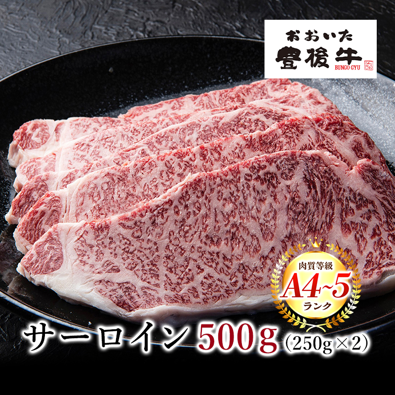 おおいた豊後牛 サーロインステーキ 2枚 500ｇ 大分県 ブランド牛 黒毛和牛 おおいた和牛 お取り寄せ