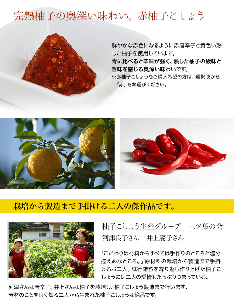 無添加 手作り柚子こしょう (青 赤) 90g 粗挽き 完全無農薬栽培原料使用 大分県日田産 ゆずごしょう 柚子胡椒  :ky-0005:おとぎのバーチャルショップ - 通販 - Yahoo!ショッピング