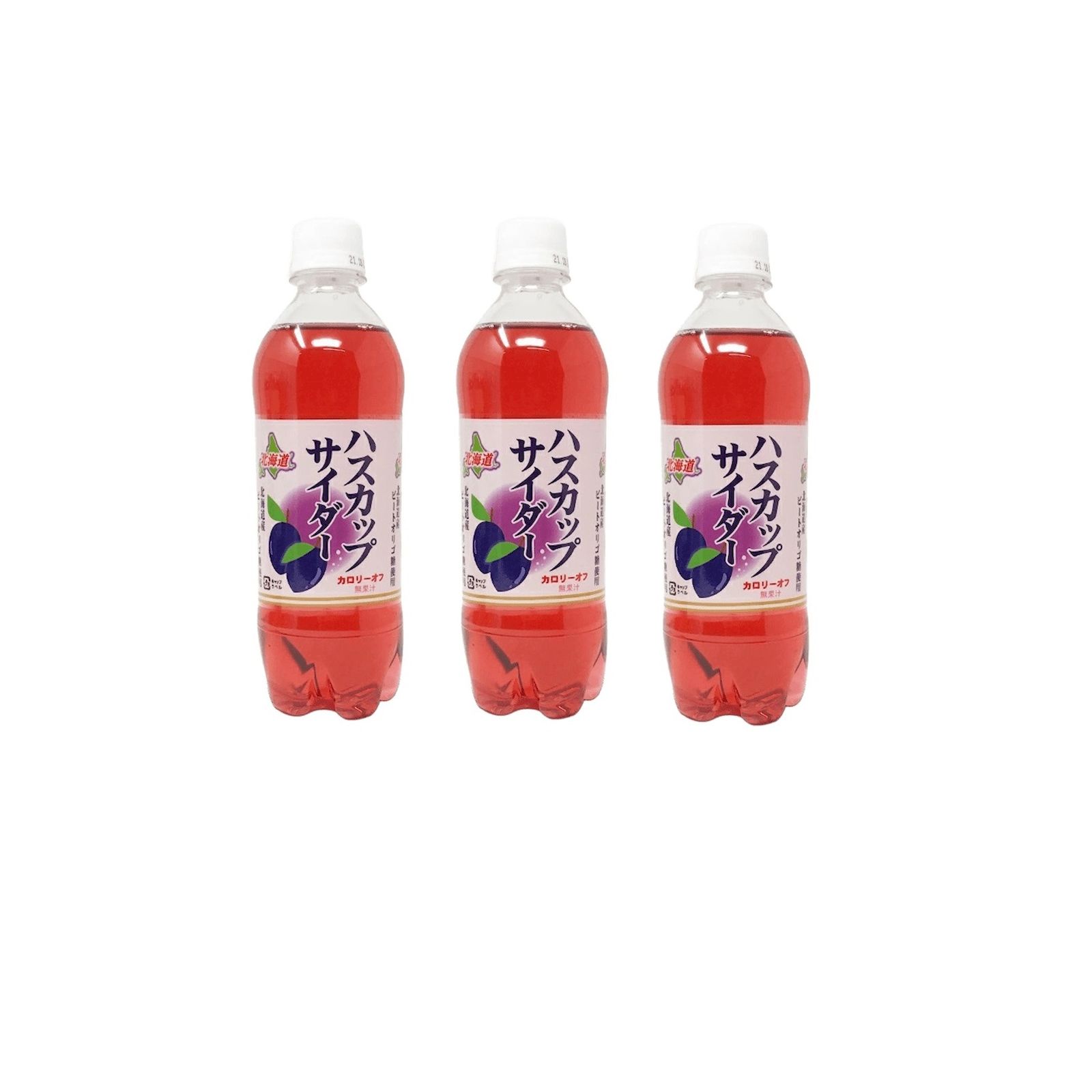 小原 北海道 ハスカップ サイダー 500ml×3個 ハスカップ サイダー