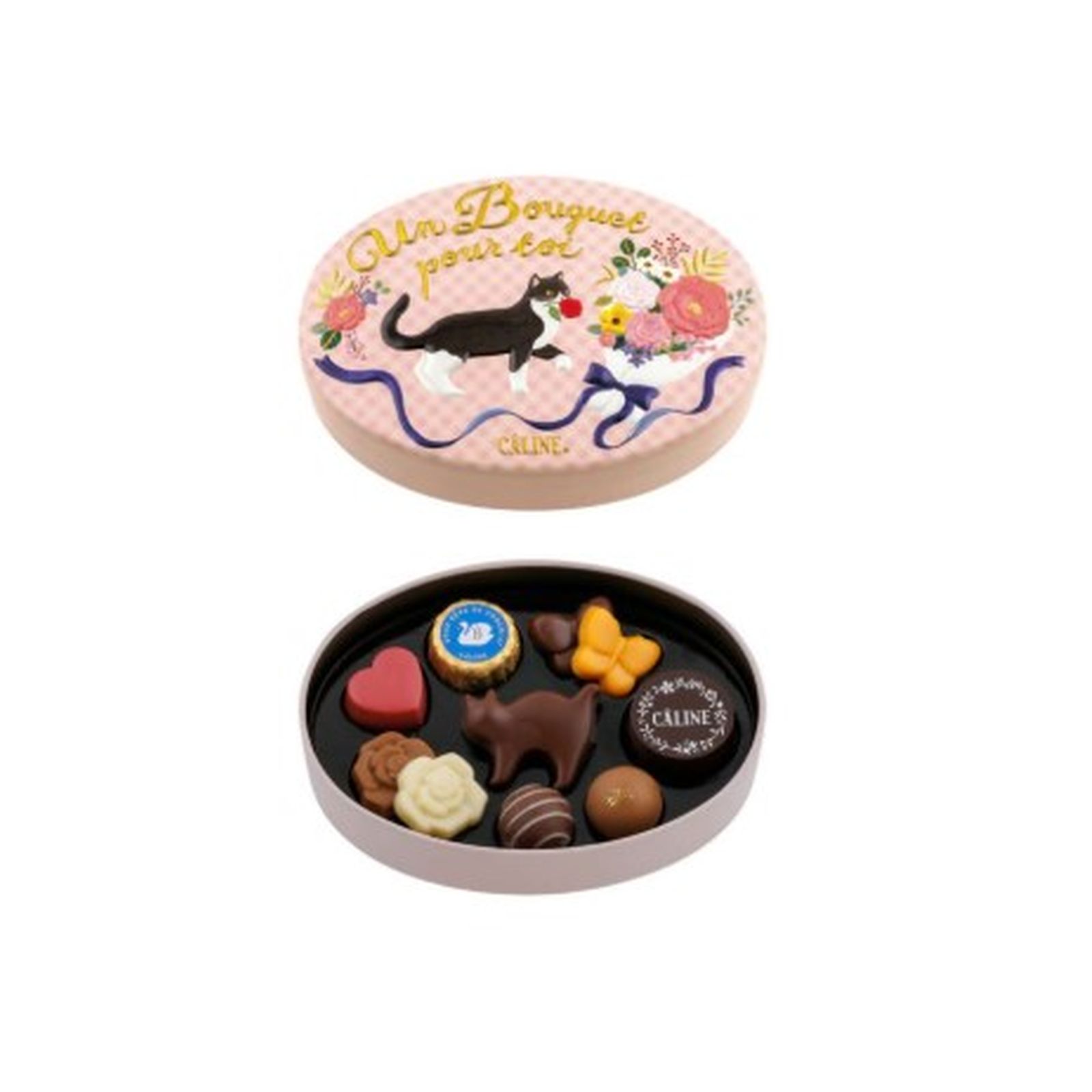 モ口ゾフ カリーヌ 10個入(v26)×1個 チョコレート 缶 アソート 猫 バレンタイン 人気