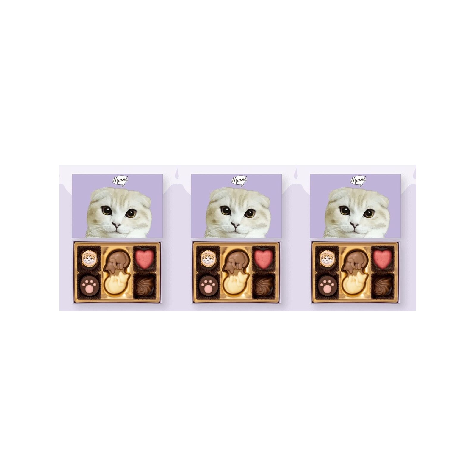 メリーチョコレート にゃそーてっどチョコレート 6個入 (v26)×3個 チョコレート 菓子 バレンタイン ネコ 猫 人気