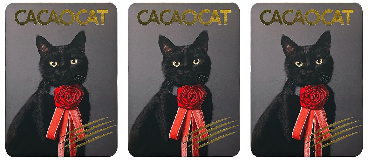 DADACA CACAOCAT缶NOIR 14個(v26)×3個 チョコレート バレンタイン ねこ 人気