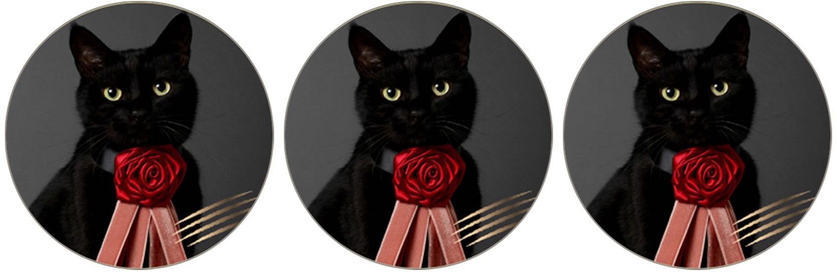 DADACA CACAOCAT缶NOIR 5個(v26)×3個 チョコレート バレンタイン ねこ 人気