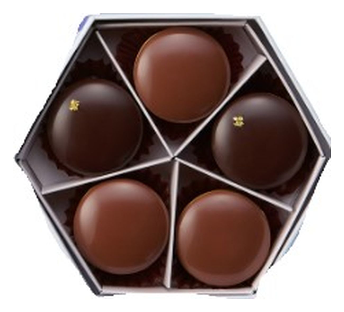 ヴィタメール タルト・オ・ショコラ 5個(v26)×1個 チョコレート バレンタイン 人気