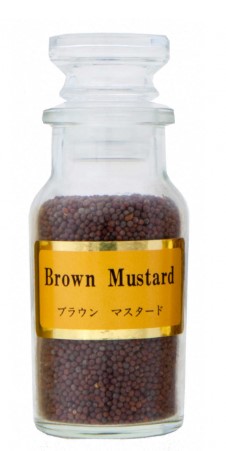 朝岡スパイス ブラウンマスタード Rビン 40g×1個 スパイス 料理 お菓子 本格的 マスタード