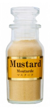 朝岡スパイス マスタード粉末 Rビン 35g×1個 スパイス 料理 お菓子 本格的 マスタード