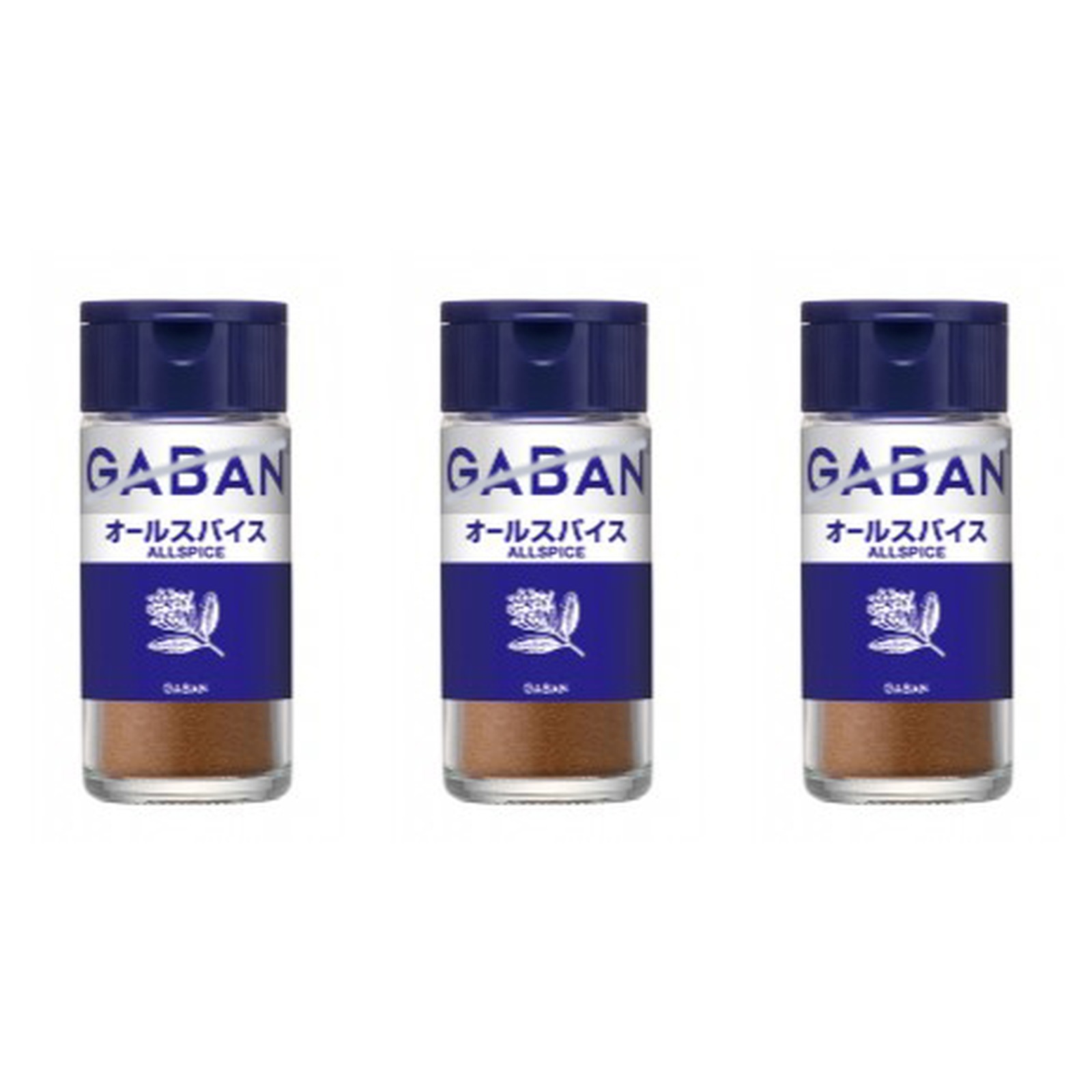 GABAN �I�[���X�p�C�X �p�E�_�[ 16g×3�� �X�p�C�X ���� ���َq �{�i�I �n�[�u