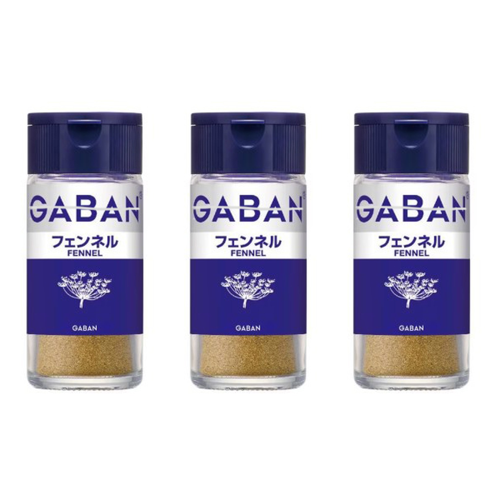 GABAN フェンネル (パウダー)瓶 14g×3個 スパイス 料理 お菓子 本格的 ハーブ フェンネル