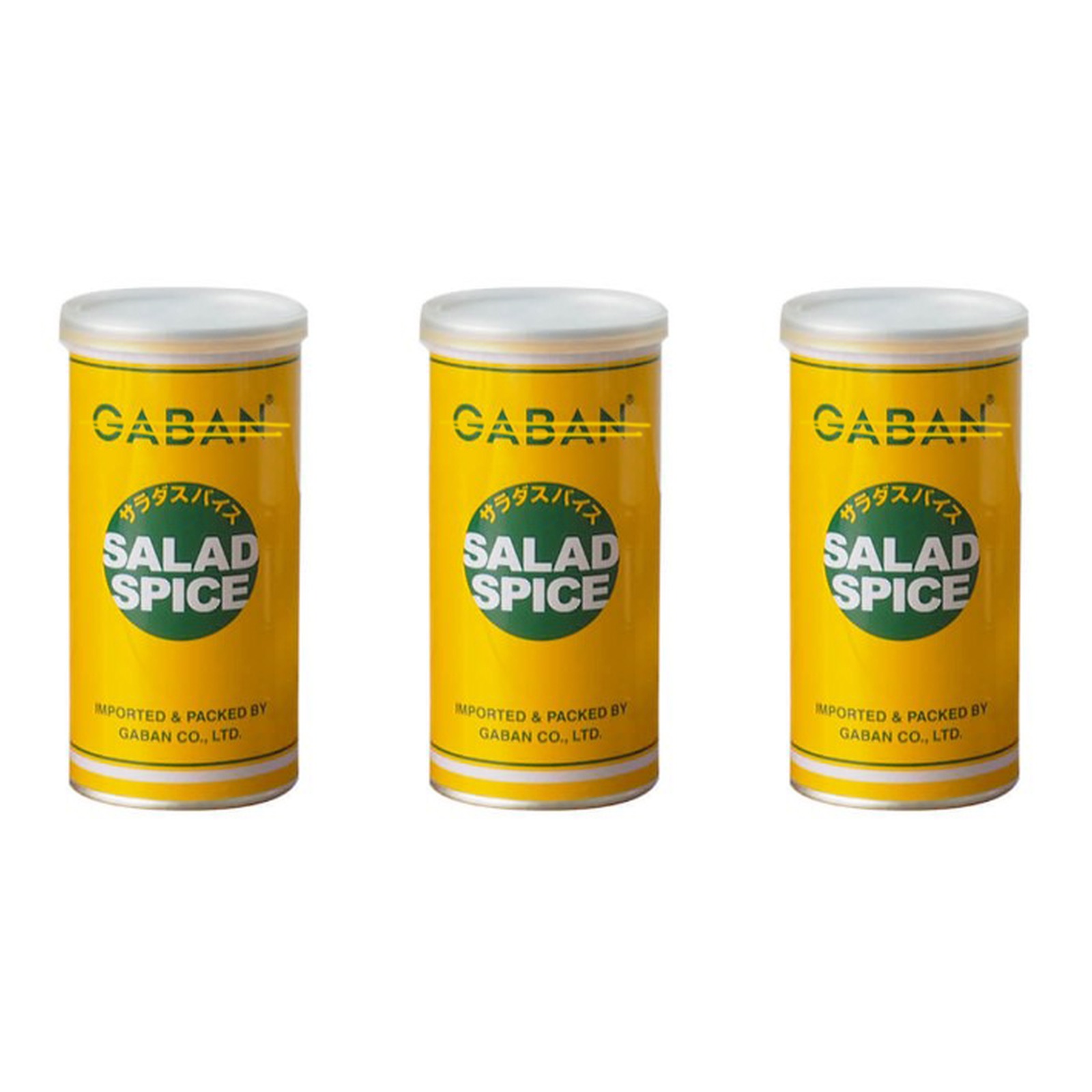 GABAN サラダスパイス 缶 100g×3個 スパイス 料理 お菓子 本格的 ハーブ サラダ