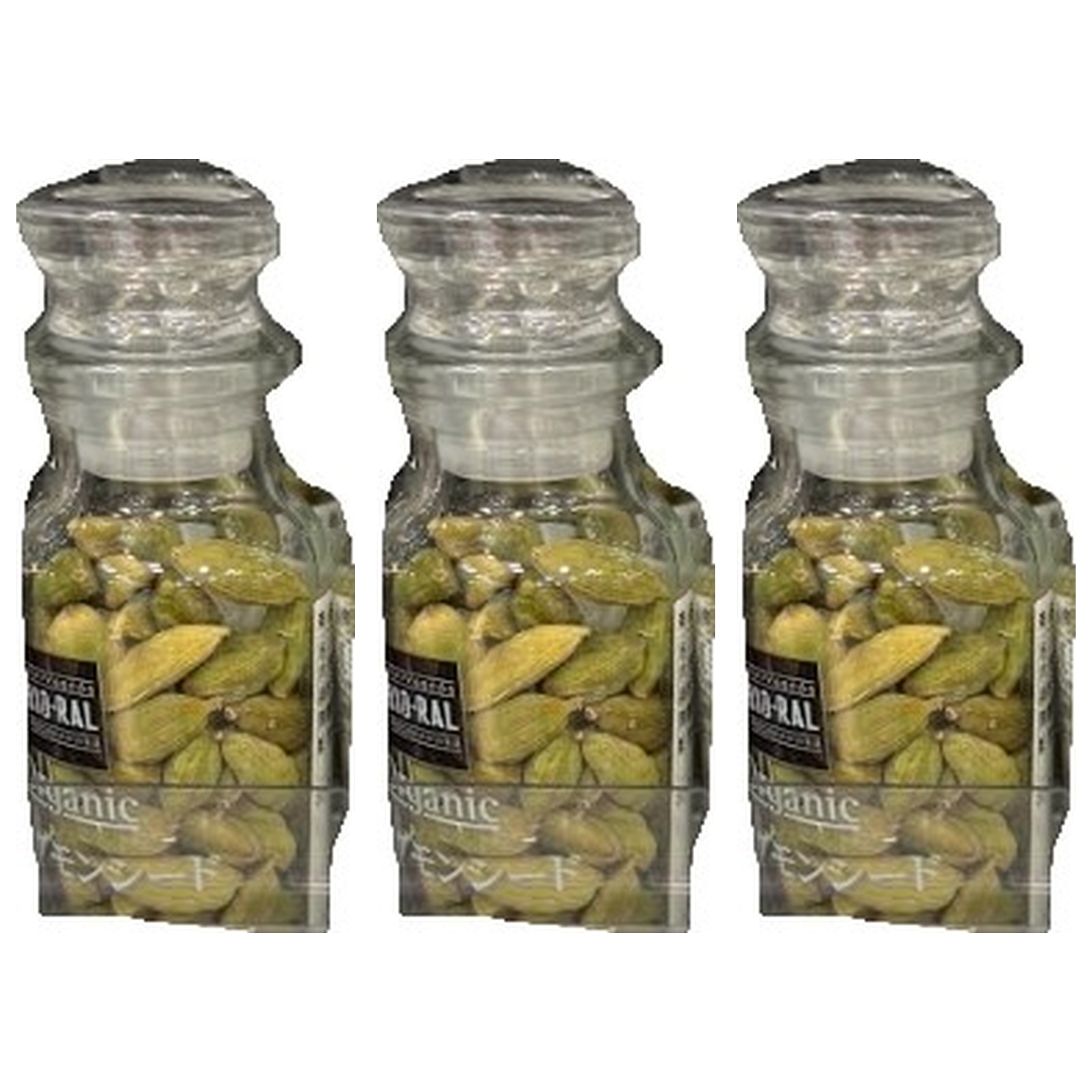 �r�I���� �L�@�J���_�����V�[�h 19g×3�� �X�p�C�X ���� ���َq �{�i�I �n�[�u JAS�F�� �J���_����