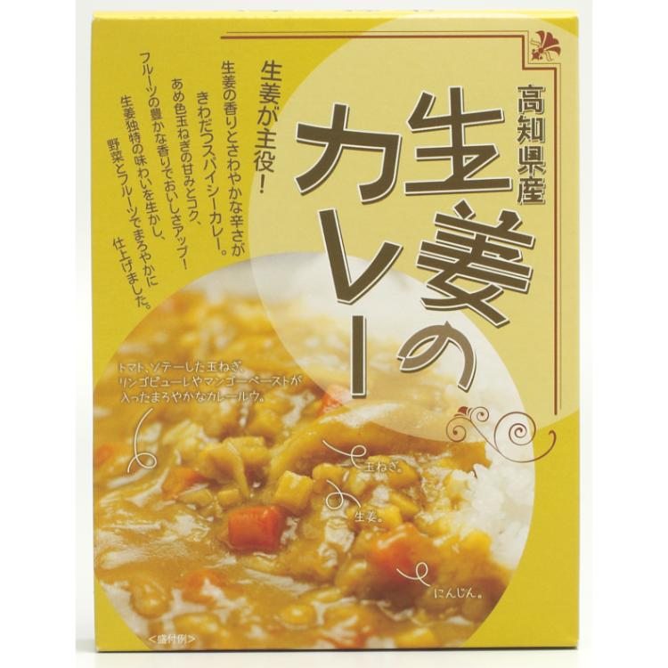 高知県特産品販売 高知県産 生姜のカレー 200g×1個 レトルトカレー 惣菜 ランチ 非常食 詰め合わせ