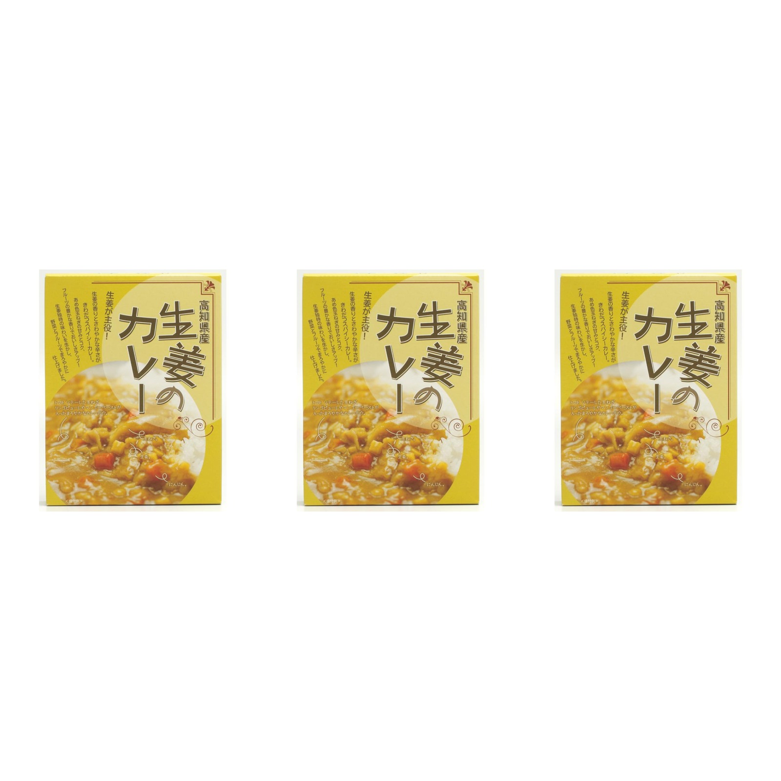 高知県特産品販売 高知県産 生姜のカレー 200g×3個 レトルトカレー 惣菜 ランチ 非常食 詰め合わせ