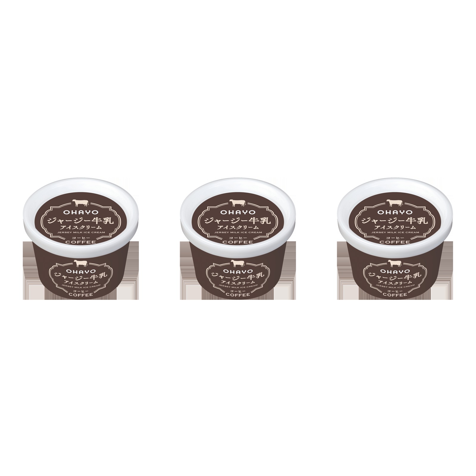 オハヨー乳業 ジャージー牛乳アイスクリーム コーヒー 120ml×3個 冷凍 アイスクリーム 珈琲 濃厚 贈り物 デザート 菓子