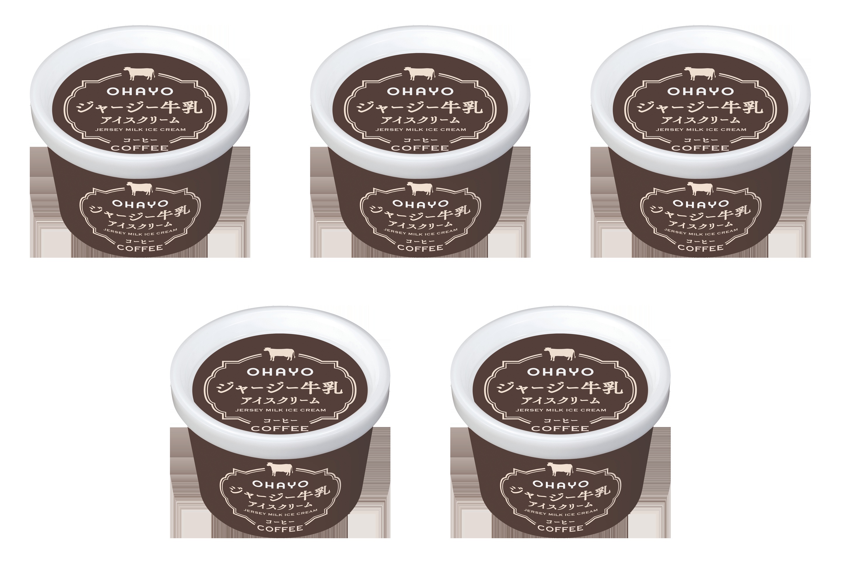 オハヨー乳業 ジャージー牛乳アイスクリーム コーヒー 120ml×5個 冷凍 アイスクリーム 珈琲 濃厚 贈り物 デザート 菓子