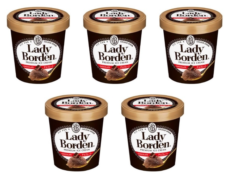 ロッテ レディーボーデン パイント チョコレート 470ml×5個 冷凍 アイスクリーム チョコ 大容量 デザート ファミリーサイズ