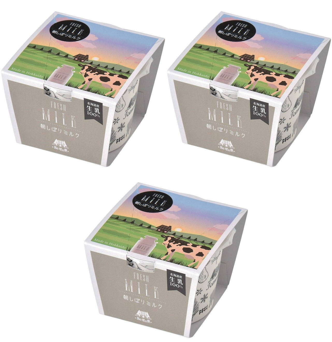 長沼あいす 朝しぼりミルク 100ml×3個 冷凍 アイスクリーム ジェラート ミルク 濃厚 北海道 デザート