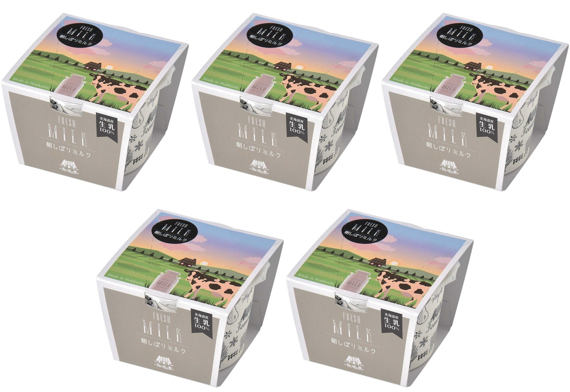 長沼あいす 朝しぼりミルク 100ml×5個 冷凍 アイスクリーム ジェラート ミルク 濃厚 北海道 デザート