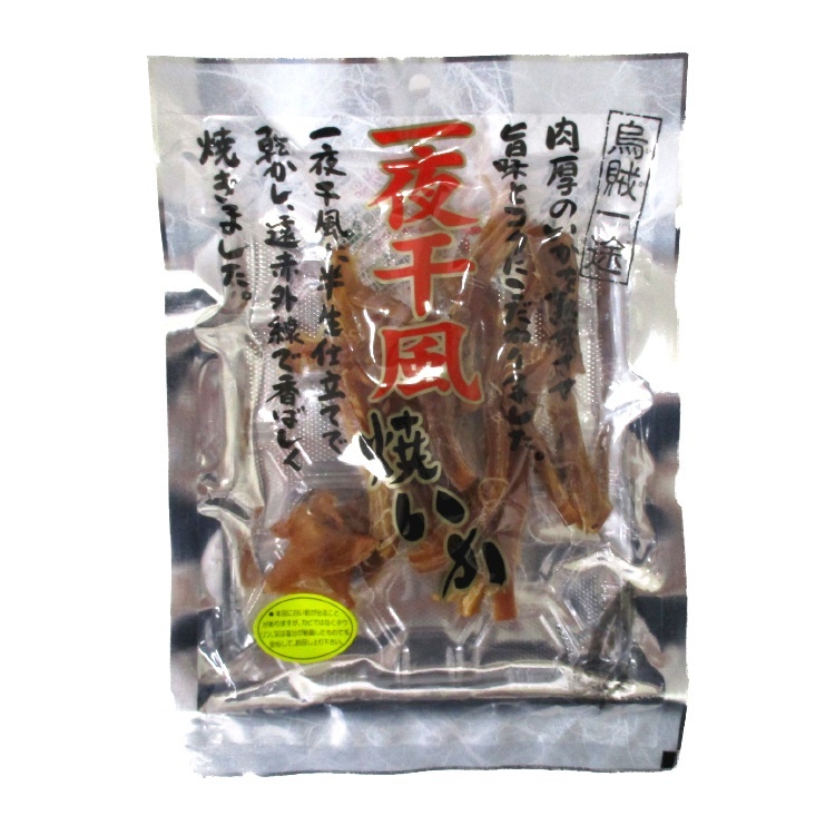 ふじや 一夜干風焼いか（国内加工） 60g×1個 おつまみ 珍味 乾物 魚介 晩酌 惣菜 国内製造