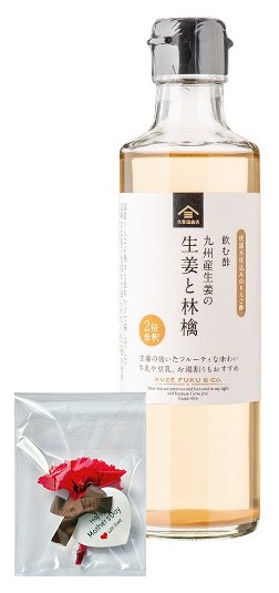母の日 ギフト 食品  カーネーション 久世福 飲む酢 九州産生姜の生姜と林檎(2倍希釈) 260ml×1個 セット 贈答 義母 2026 ショッパー付き 花はイメージ図です