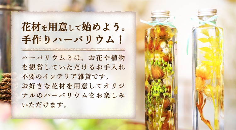 ハーバリウムとは