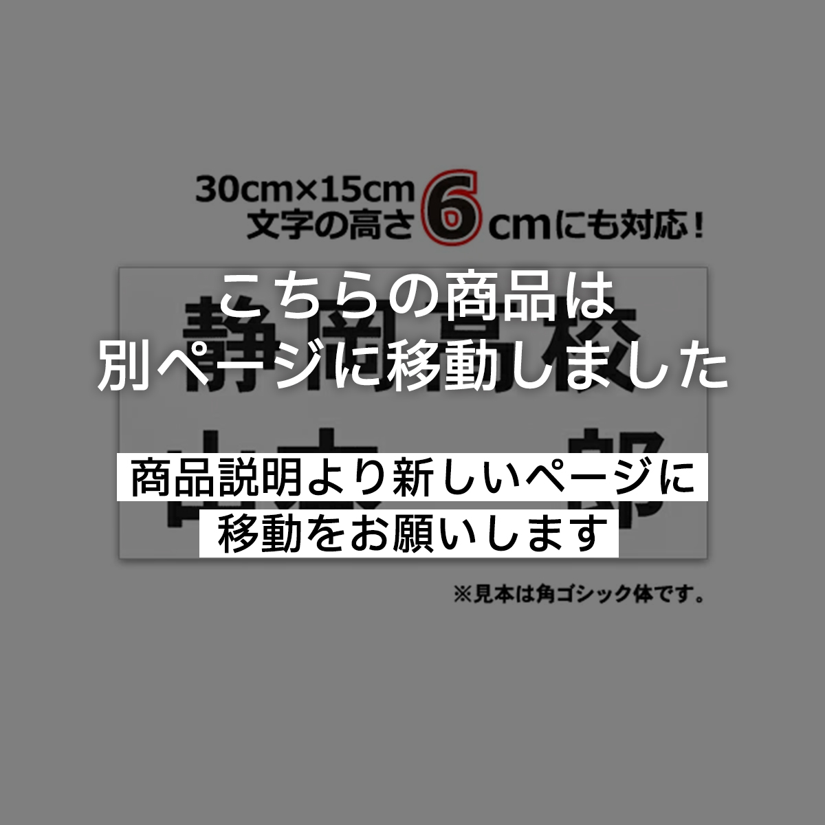 バドミントンゼッケン 一般用 W30cm×H15cm スポーツゼッケン ウエア 超 