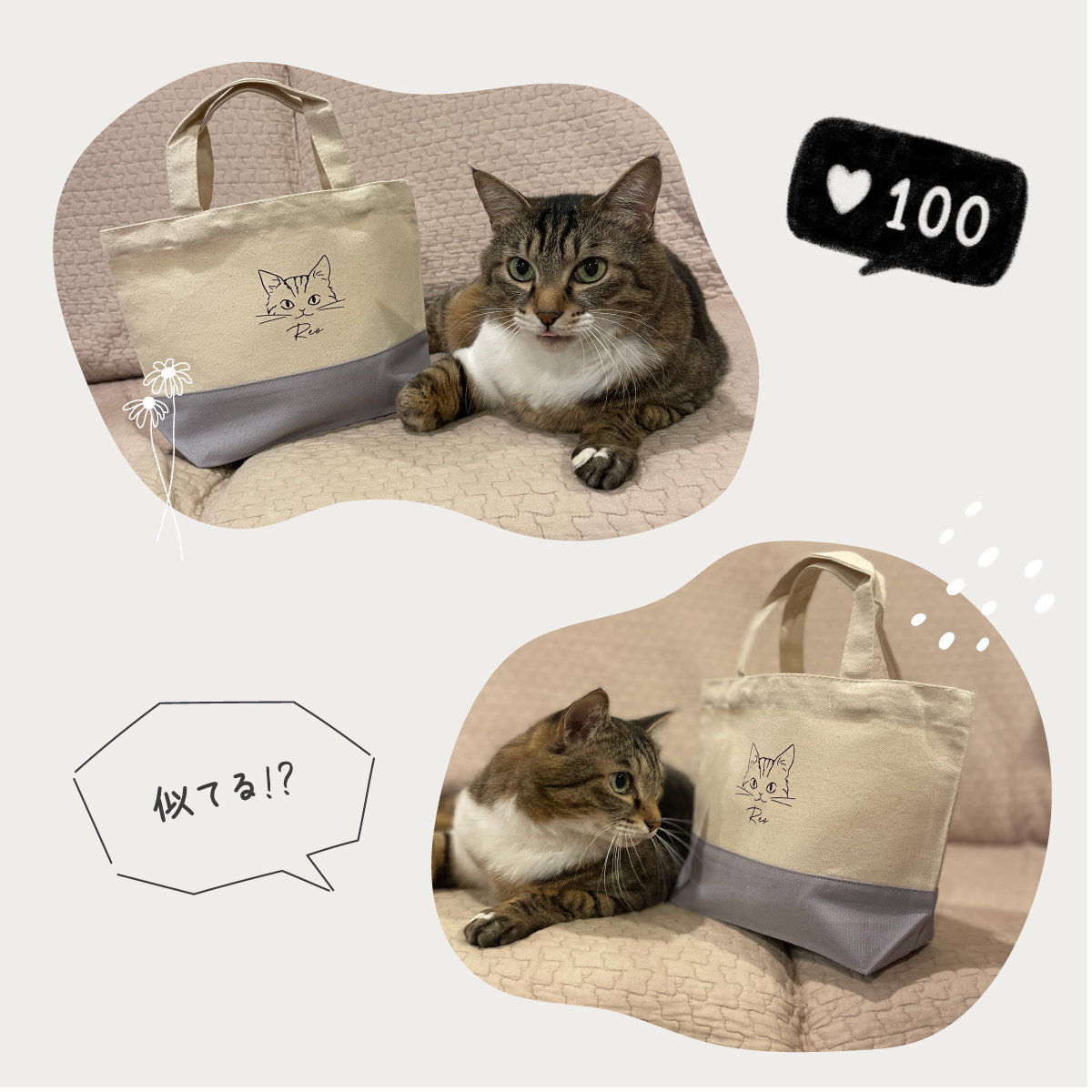 トートバッグ 猫 ねこちゃん 名入れ イラスト バイカラー キャンバス