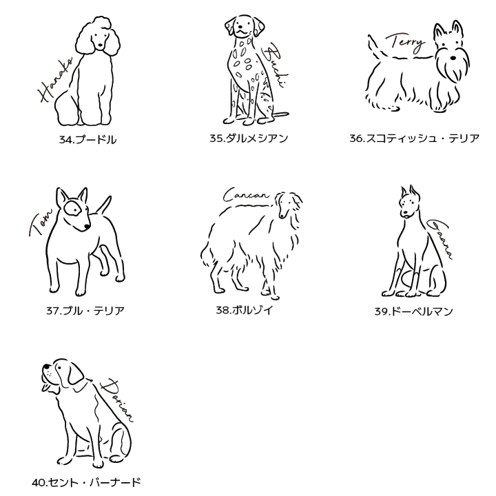 犬種5