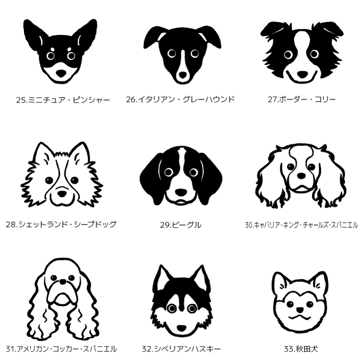 犬種4