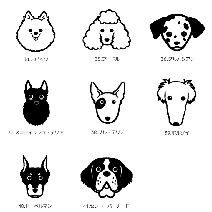犬種5