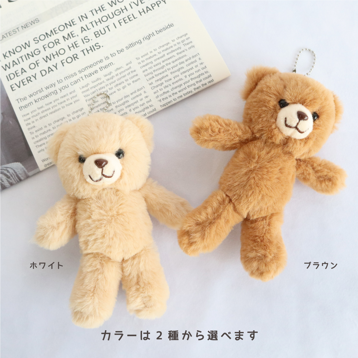 2種類のくまさん